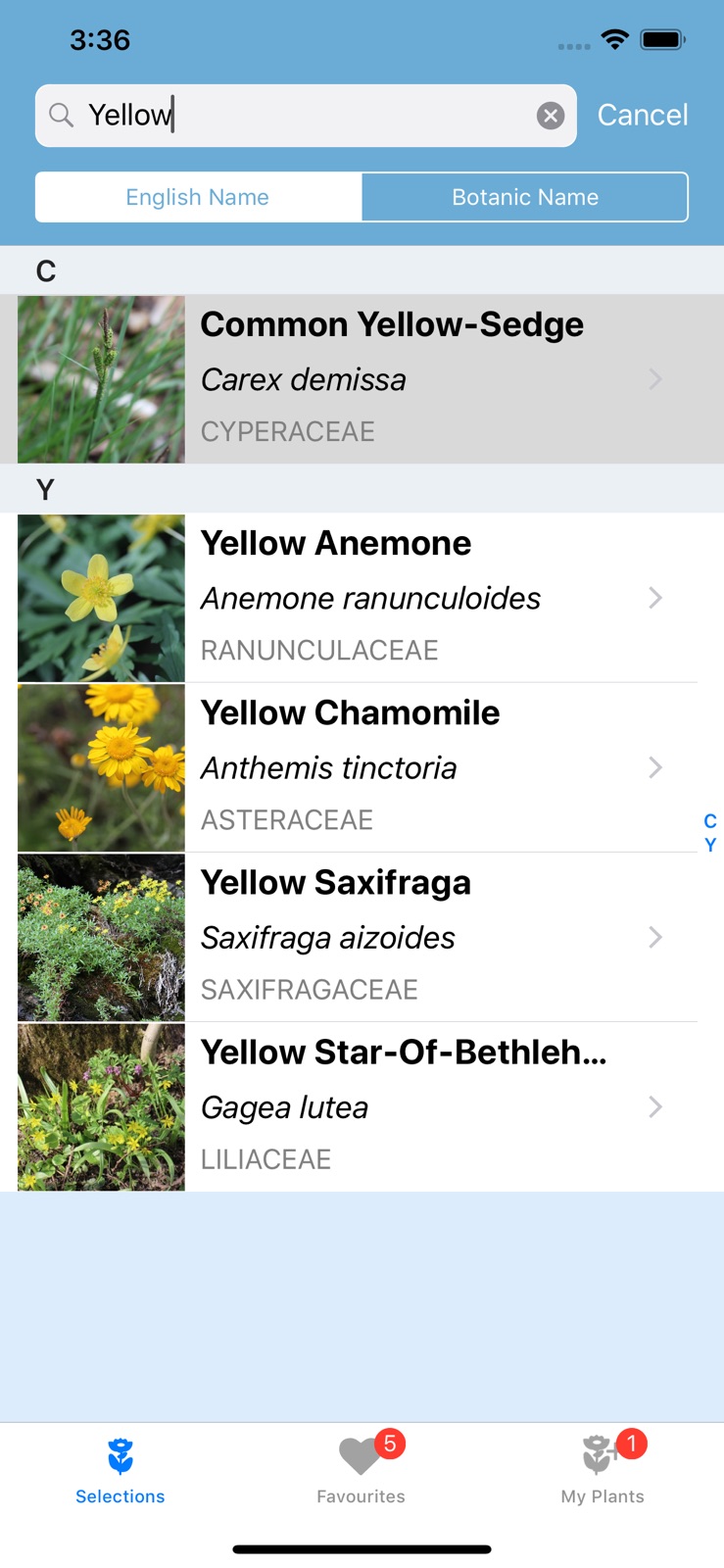 Flower Field iphone screenshot 3