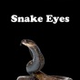 Snake Eyes - Horror Game app download
