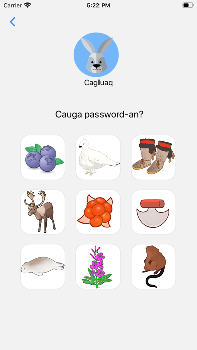 Yugtun LKSD iPhone screenshot 2 - Education app