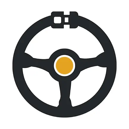 Özel Payas Sürücü Kursu Cheats