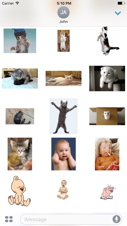 Funny Animal Cat Baby Stickers