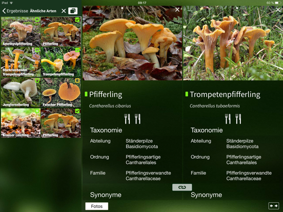 PilzSnap - Pilze sammeln! iPad app afbeelding 4