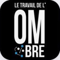 Le Travail De L'OMbre