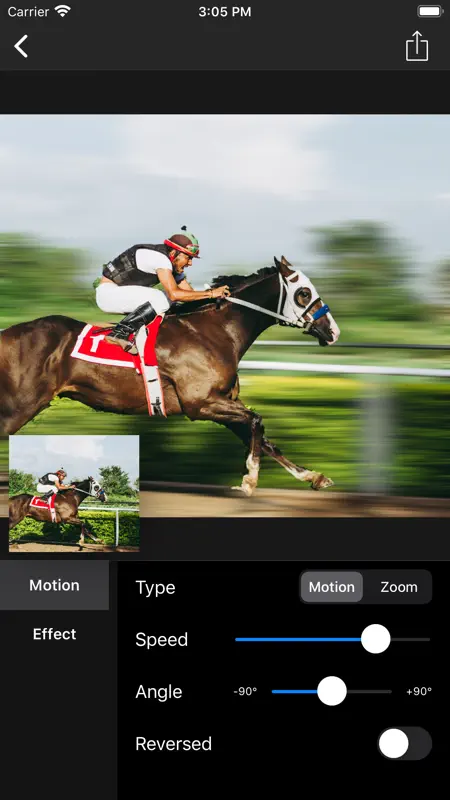 Motion Blur - Panning Photo screenshot 5 of 10