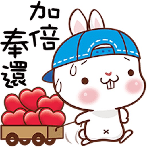 藍帽兔