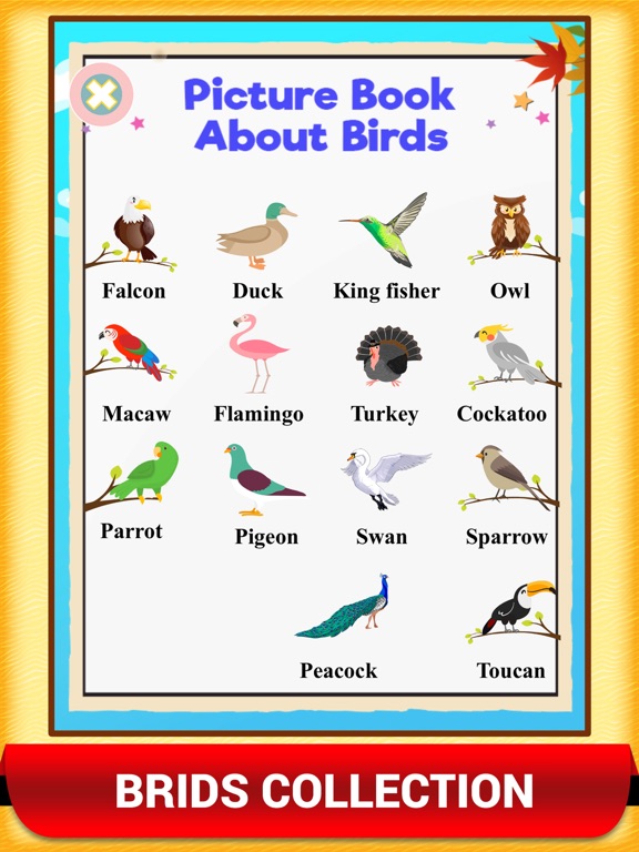Screenshot #5 pour Apprendre Des Mots Imagier App