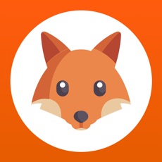 Activities of Fox Search - logic game