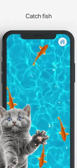 Game screenshot Games for Cats Cat Toy – Meow mod apk