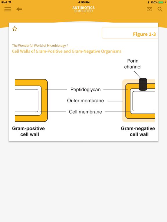 Screenshot #5 pour Antibiotics Simplified