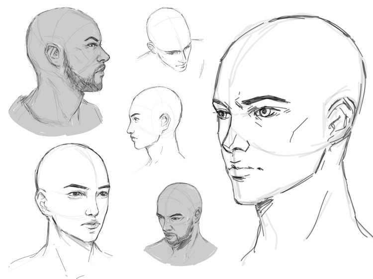 ShadowDraw: Learn How to Draw screenshot-8