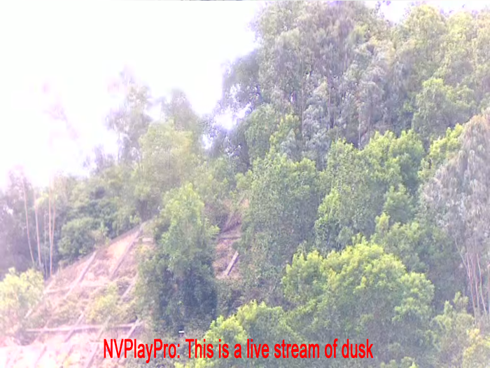 NVPlayPro