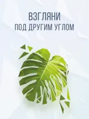 poly mania - 3d головоломки айпад изображения 4