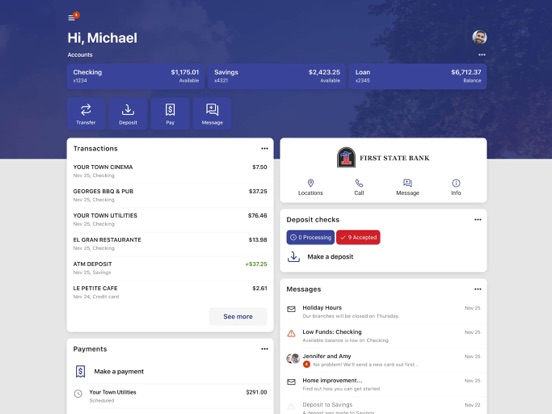 FSB Go iPad screenshot 3 - Finance app