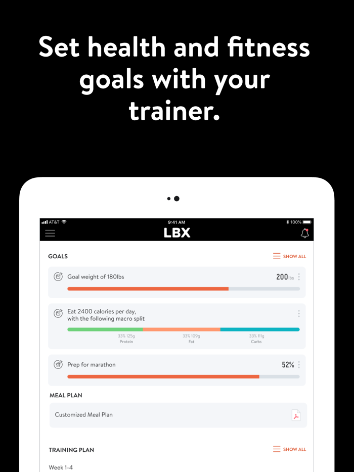 LBX by Lee Brothers MMA