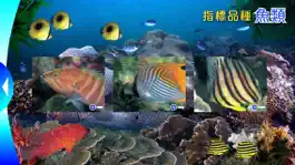 Game screenshot Reef Check Hong Kong apk