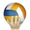 SimpleVolleyball icon