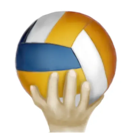 SimpleVolleyball Cheats