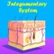“Integumentary System” is an interactive reference, and education tool