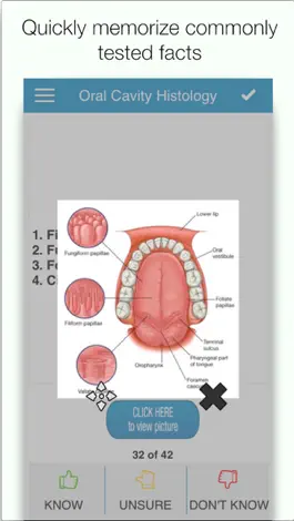 Game screenshot NBDE Anatomy/Histo Cram Cards mod apk