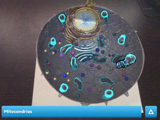 Screenshot #5 pour CellulAR