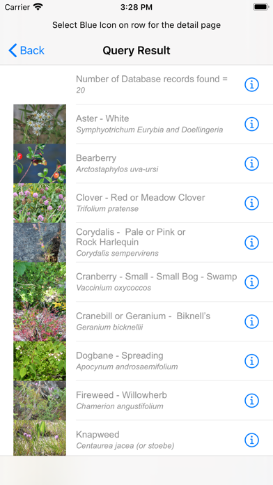 NCFlowers Screenshot