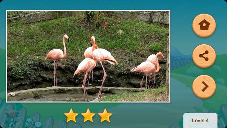 Hidden Video - Math Puzzles screenshot-3