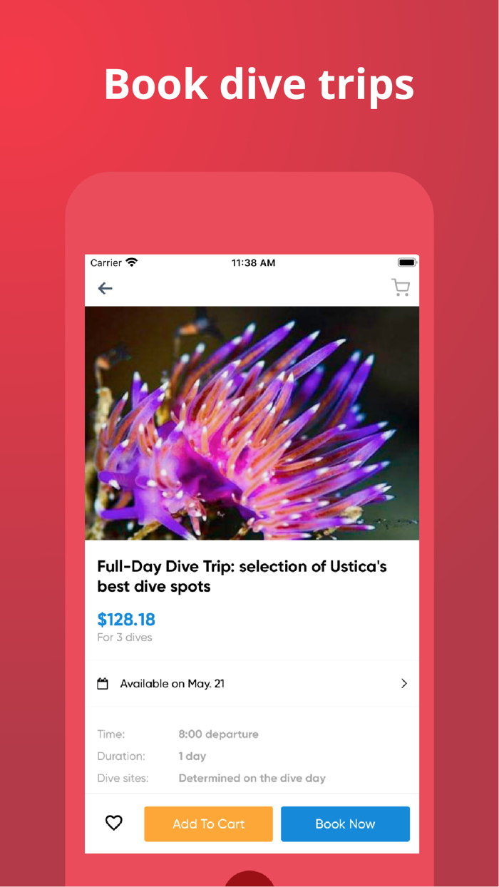 PADI Adventures book diving