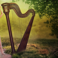 Harp Instrument