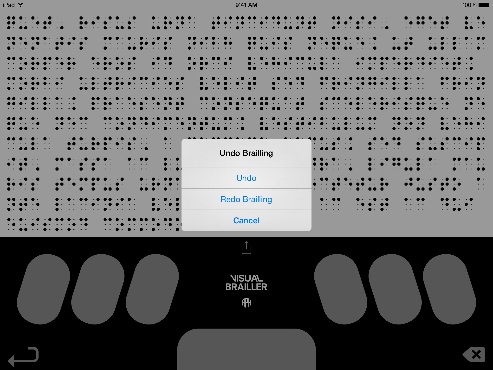 Visual Brailler screenshot 4