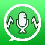 Audio Sender - Voice Changer App Positive Reviews