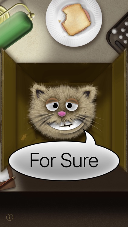 Schrode the Cat