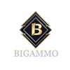 BIGAMMO