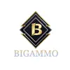 BIGAMMO App Positive Reviews