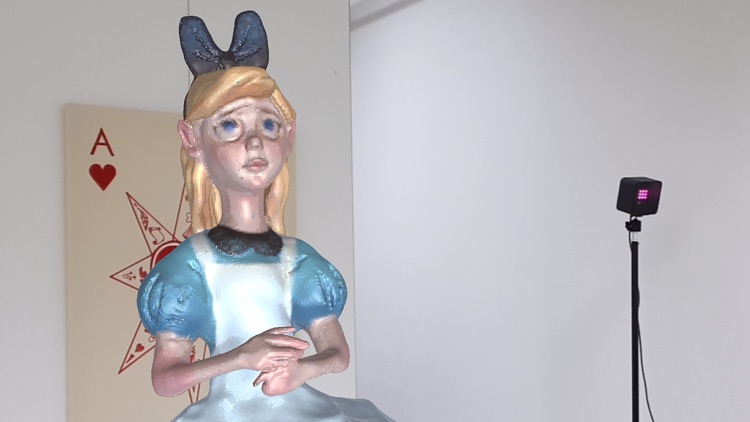 RMII AR screenshot-4