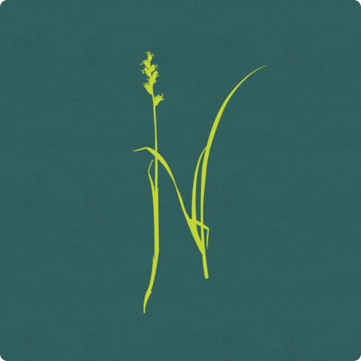 Gemeinde Niederhelfenschwil