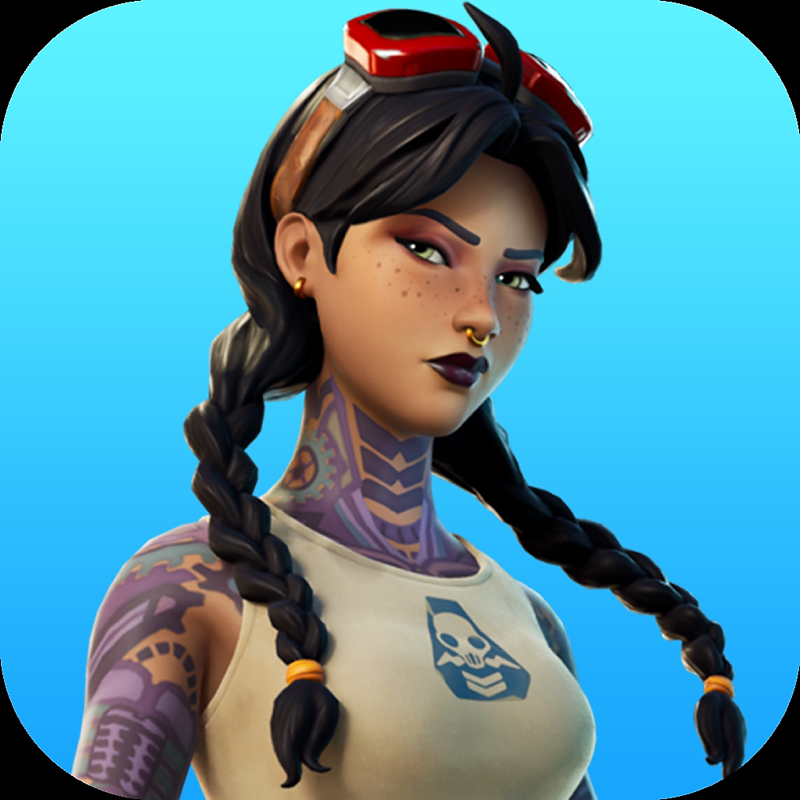 #1 Companion For Fortnite