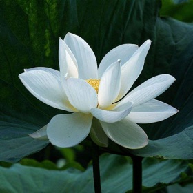 螢幕擷取畫面 (9) 能利电子屏Ⅱ