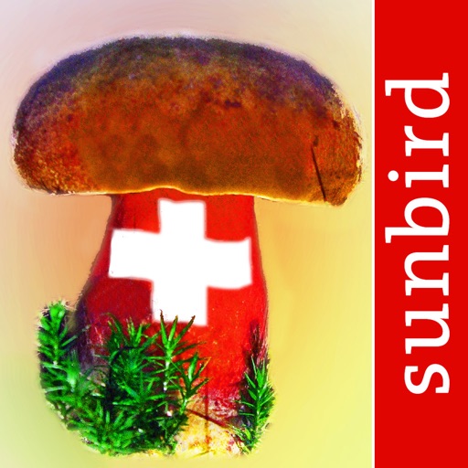 Pilzführer Schweiz – Pilze Pro icon