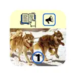 读英文小说1 App Alternatives