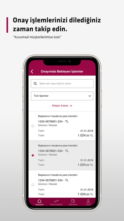 Alternatif Bank Corporate screenshot-4