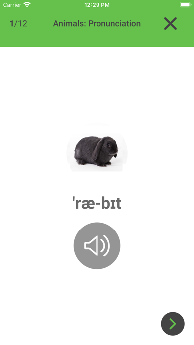 English Vocabulary - CEFR A1 Screenshot