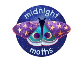 Midnight Moth Bedtime Stickers