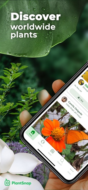 PlantSnap Pro: Identify Plants