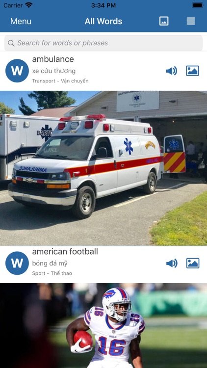 English Picture Dictionary New