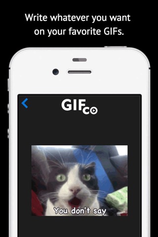 GIFco 検索 と GIFファイルにテキストを追加のおすすめ画像3