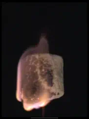 real fire works айпад изображения 4