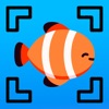 Fish Identifier AI icon