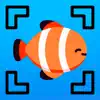 Fish Identifier AI App Support