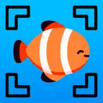 Fish Identifier AI App Support