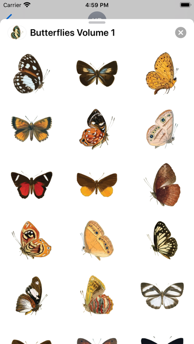 Screenshot #3 pour Butterflies Volume 1